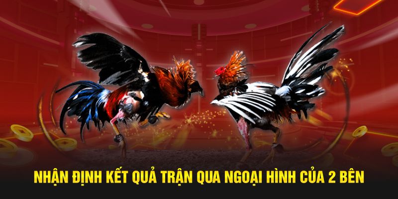 Nhận định kết quả trận qua ngoại hình của 2 bên