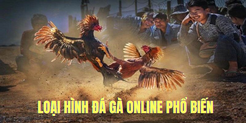 Đá gà online loại hình giải trí thú vị